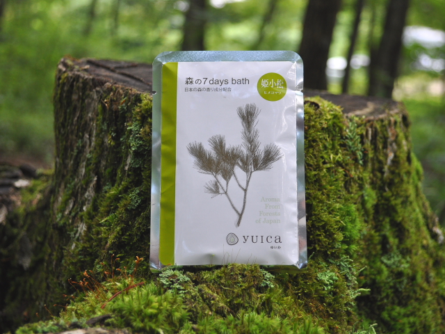 姫子松　ヒメコマツ